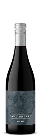 2019 Berg Pinotage